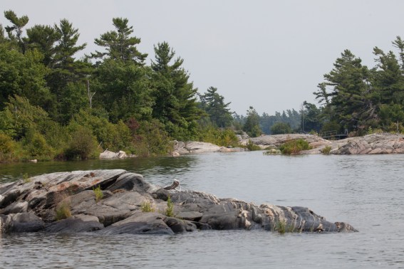 killcoursie to Indian Harbor-7