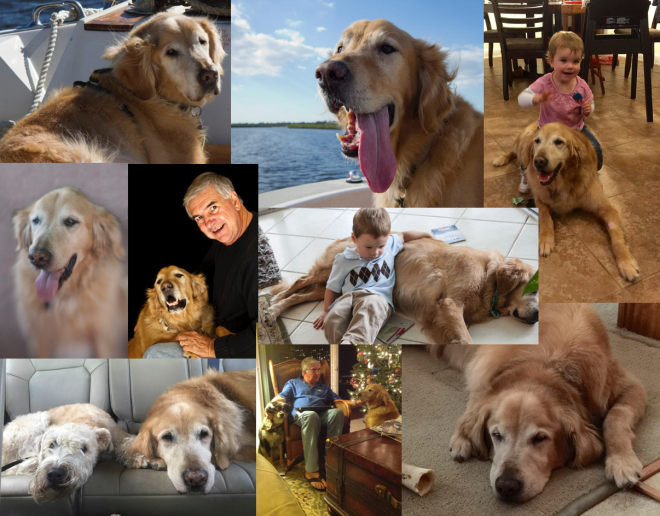 Screen Shot 2016-08-17 at 11.32.17 AM