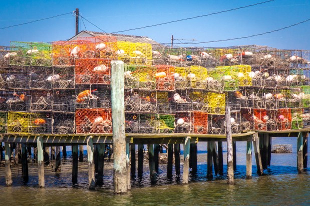 Tangier Island (June 10,&nbsp;2017)